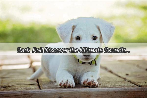 Bark  Roll Discover the Ultimate Soundtrack for Pup Skating Sensations